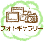 フォトギャラリー