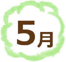 5月